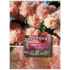 Double Salmon Delight Hollyhock Seed Packet + Free Pack Mixed Calendula   